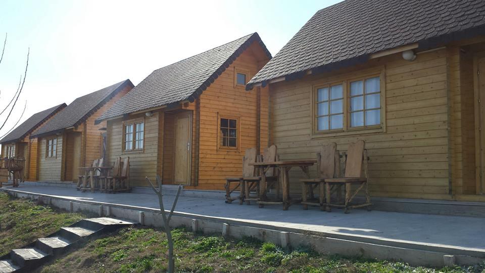 CASUTE BALTA SULIMANU 2014 - casute-sulimanu-7.jpg